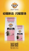 奧丁精品幼貓糧閃耀登場(chǎng)！??！