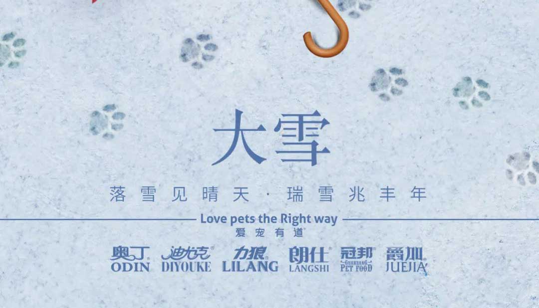 大雪丨雪落知寒意 久伴見初心！