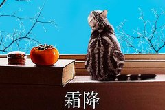霜降丨縱然霜華盡染，心中美好如初