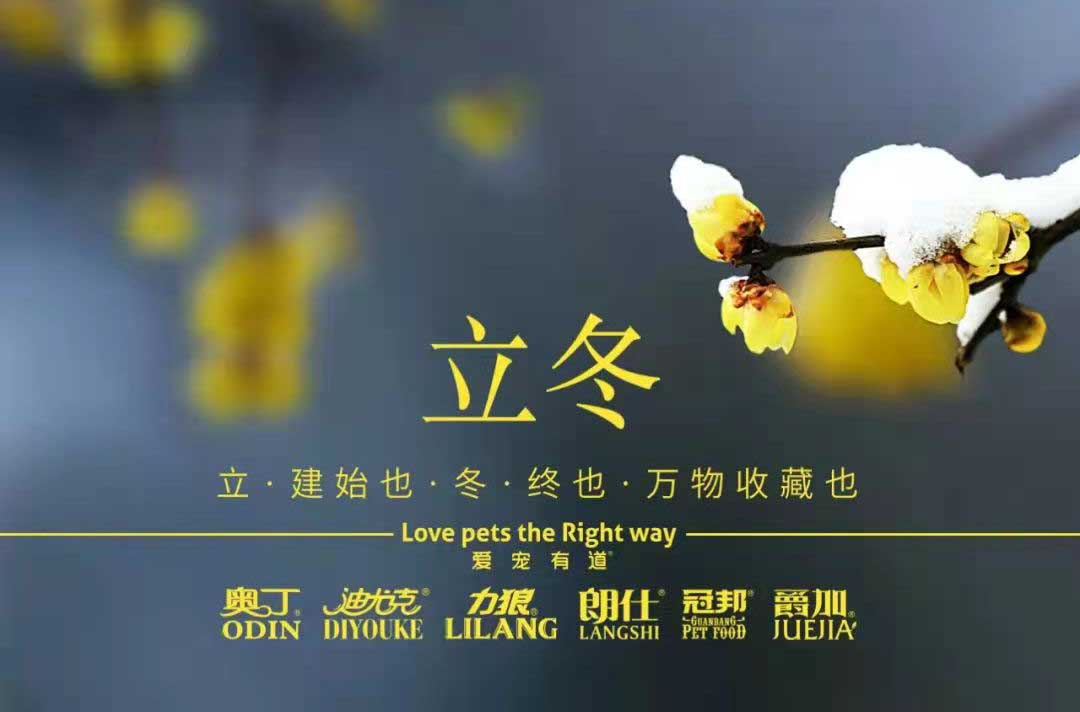 立冬丨冬寒初始，情暖愈濃