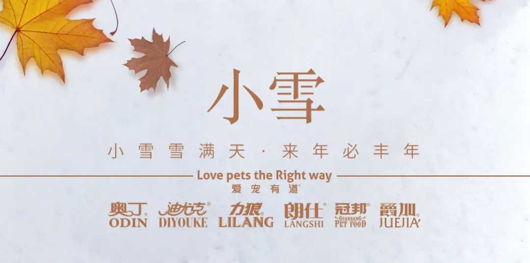 小雪丨天地初寒，歲月安暖